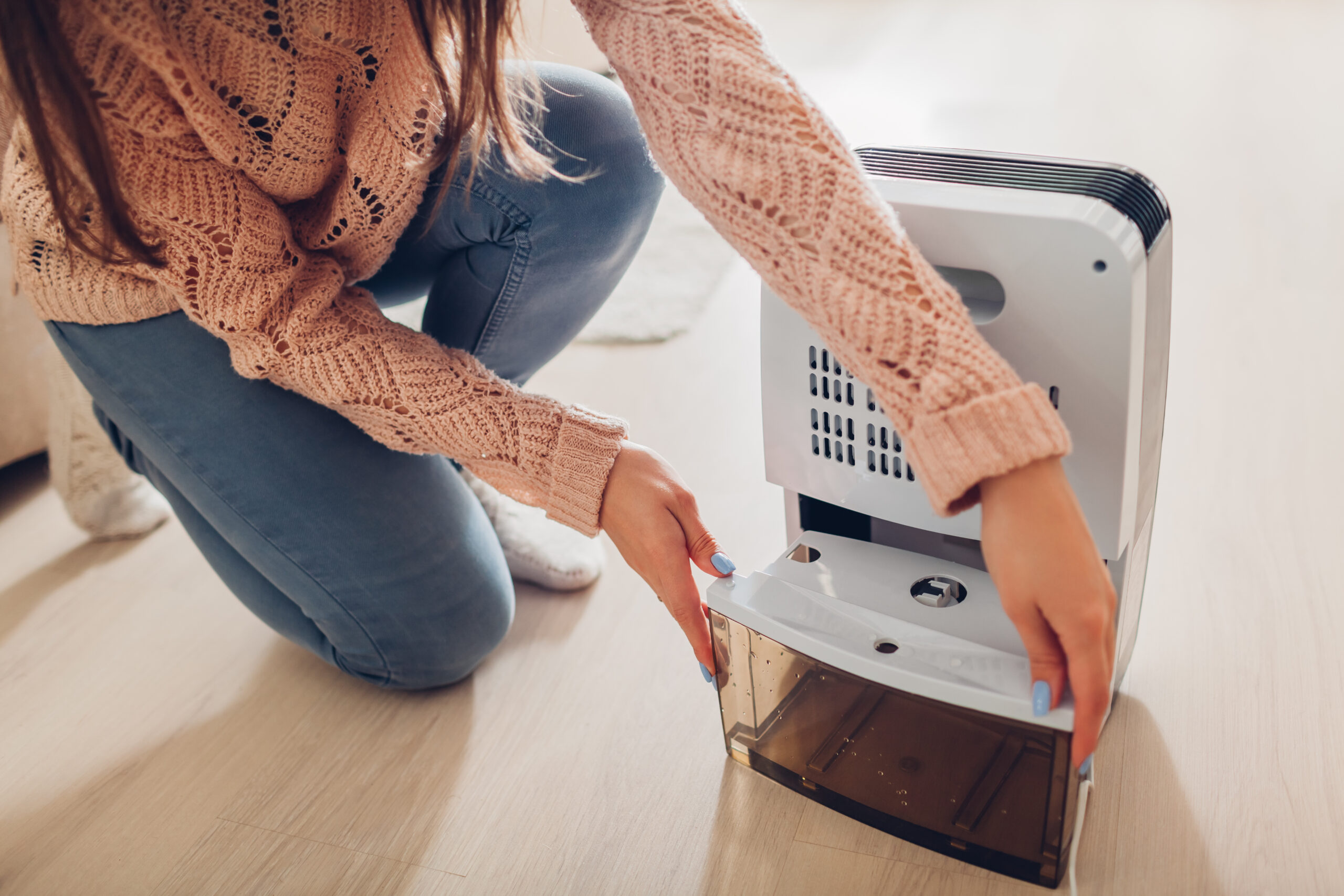 Woman Changing Water Container Of Dehumidifier At Home. Dampness In Apartment. Modern Air Dryer